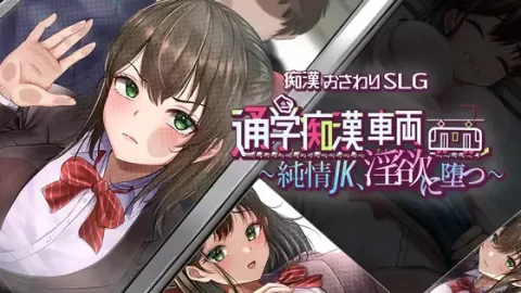 『Game|PC|中文|附下载|1.38GB』通学痴汉车厢